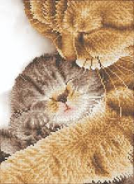 Momentos tiernos de Diamond Dotz